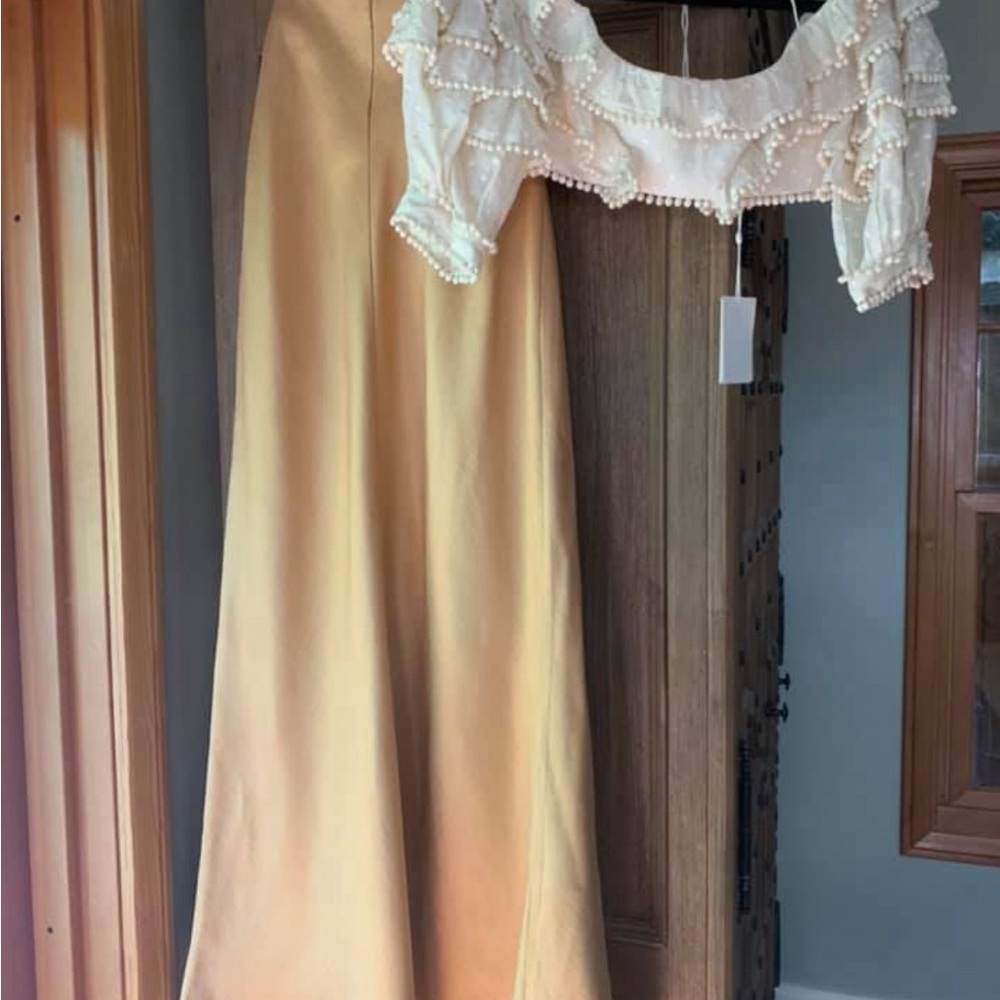 Zimmermann "Painted Heart" Ruffle Bodice Top RARE - Picture 6 of 13